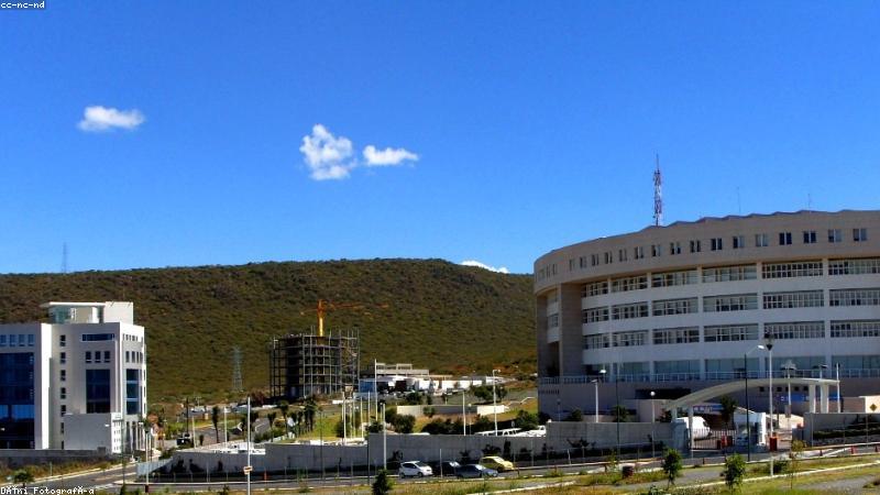 91浏览器官网首页展示极速浏览与清爽界面
